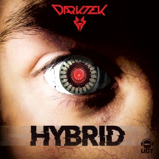 Hybrid  Hybrid