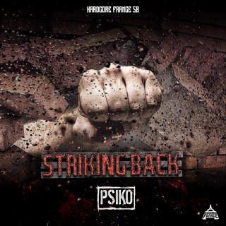 Striking Back  Striking Back