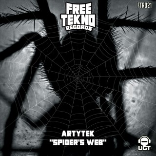 Spider's web  Spider's web