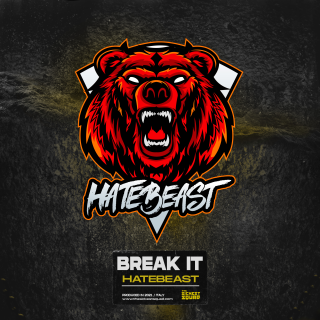 Break It Break It