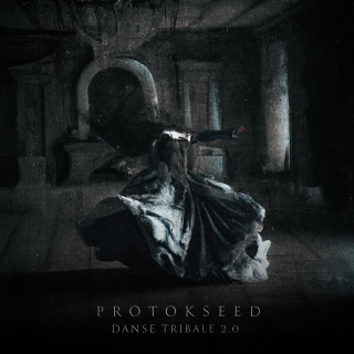 Danse Tribale 2.0 Extented Mix Danse Tribale 2.0 Extented Mix