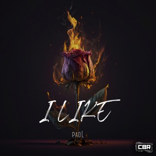 I Like  I Like