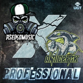 Professional  Professional
