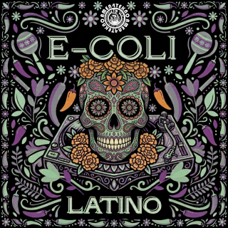 Latino