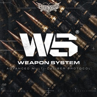Weapon System