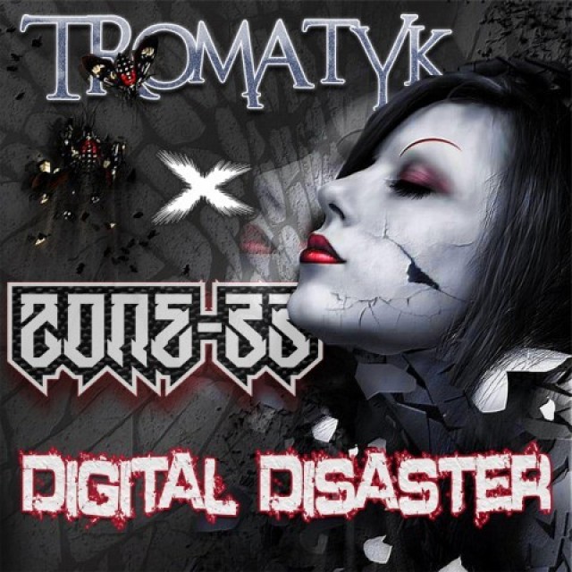 Digital Disaster Digital Disaster