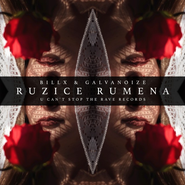 Ruzice rumena 