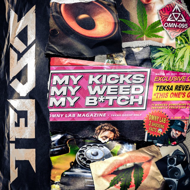 My Kicks, My Weed, My Bitch 