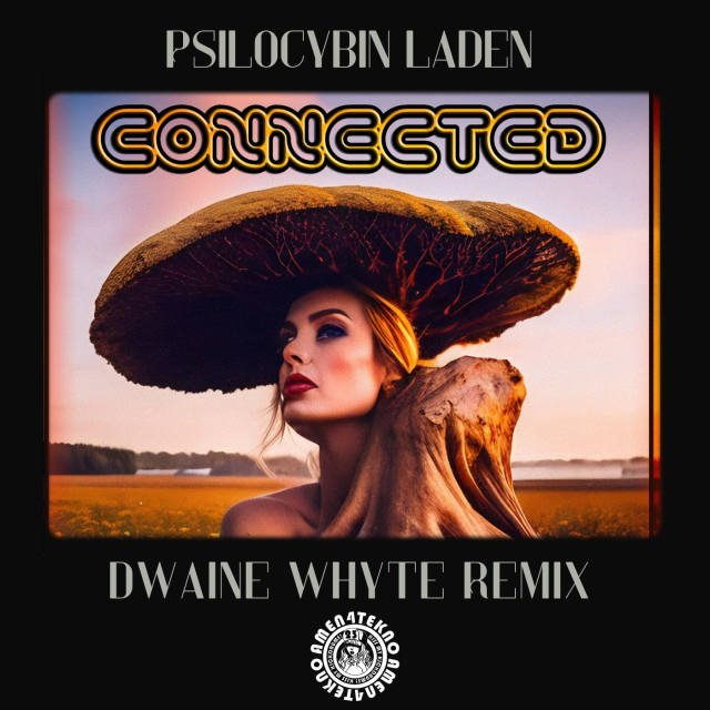 Connected Dwaine Whyte Remix