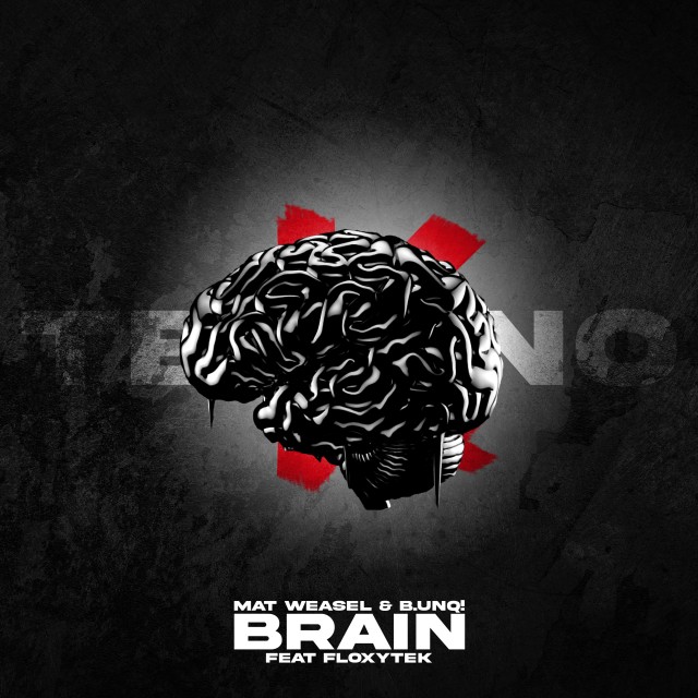 Brain 