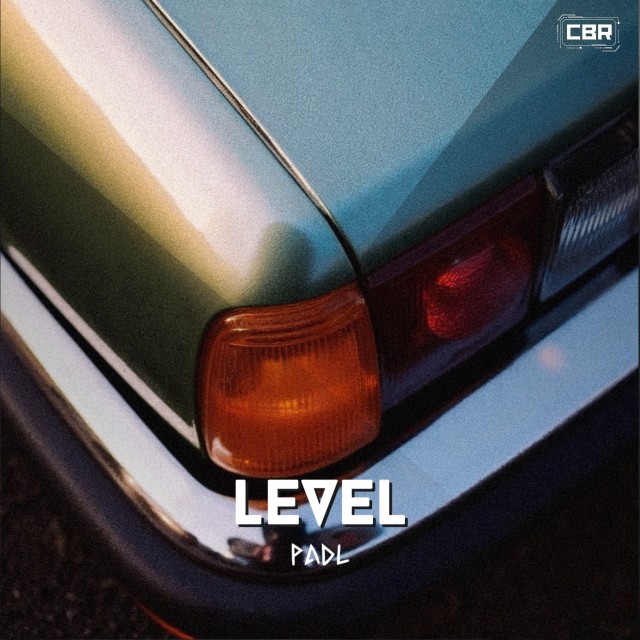 Level 