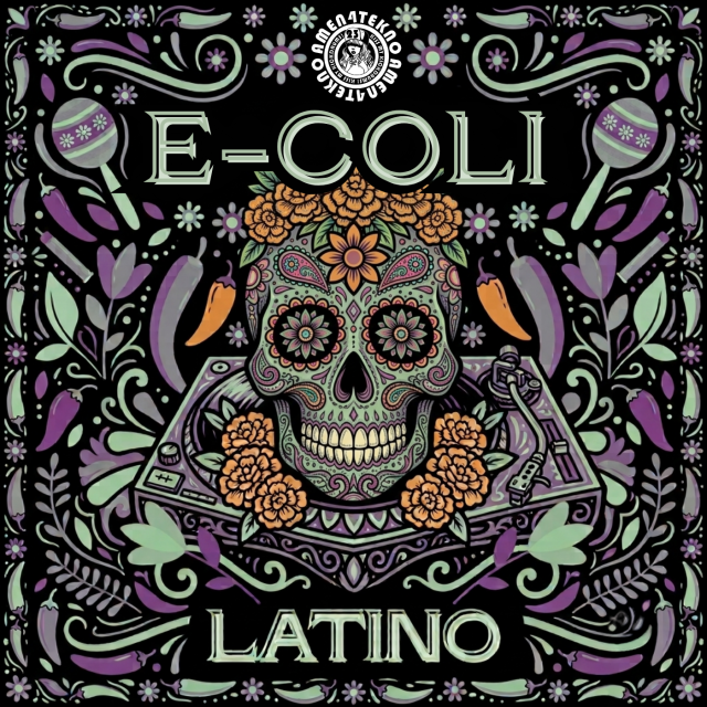 Latino 