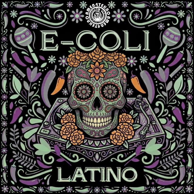 Latino 