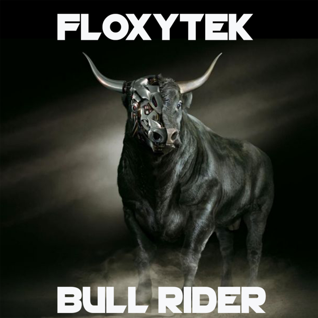 Bull Rider 